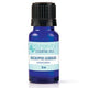 Eucalyptus Globulus Essential Oil 10ml