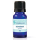 Red Mandarin Essential Oil 10ml