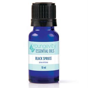 Black Spruce Essential Oil 10ml 1