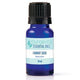 Carrot Seed Essential Oil 10ml