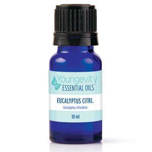 Eucalyptus Citriodora Essential Oil 10ml 1