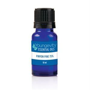 Pinyon Pine 75Percent Essential Oil Blend 10ml 1