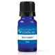 Wild Flower Essential Oil Blend 10ml