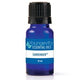Surrender Essential Oil Blend 10ml