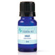 Ginger Essential Oil 10ml