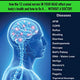 It's All in Your Head! How the 12 cranial nerves in your head effect your body's health and how to fix it... without a doctor!