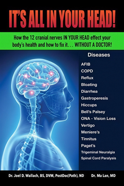 It's All in Your Head! by Dr. Joel Wallach — Paperback